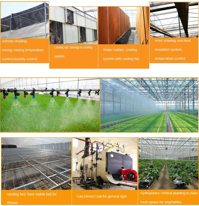 Venlo Green House for Flower