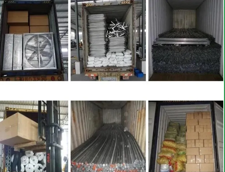 Film PC PE Plastic Greenhouses Hydroponics System for Glass Green House Polycarbonate Sheet