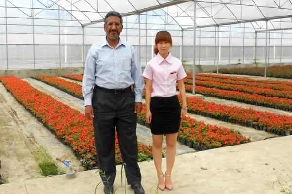 The Great Single Span Large Film Greenhouse for Flowers/Lettuce