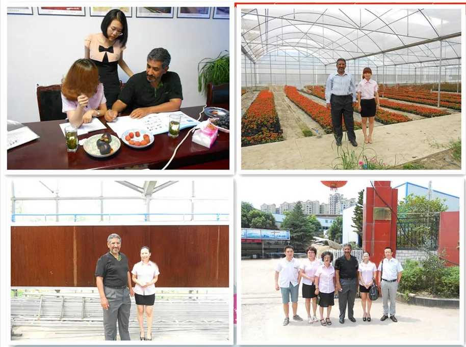 Multi Span Agricultural Film Green House with Factory Direct Sale