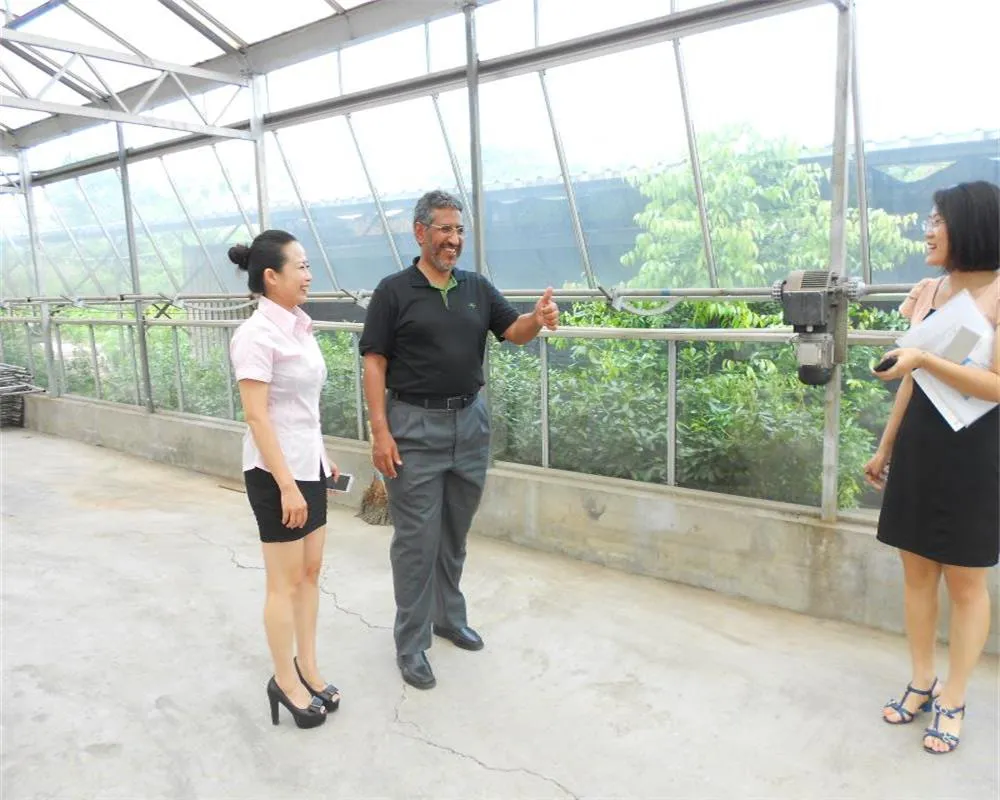 Venlo PC Green House for Growing Vegetable